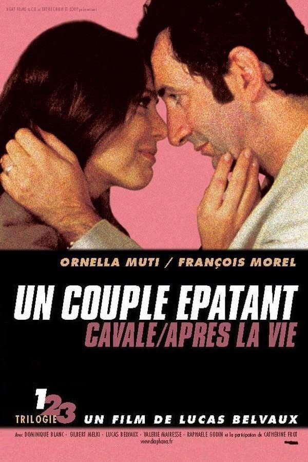 Poster di Un couple épatant
