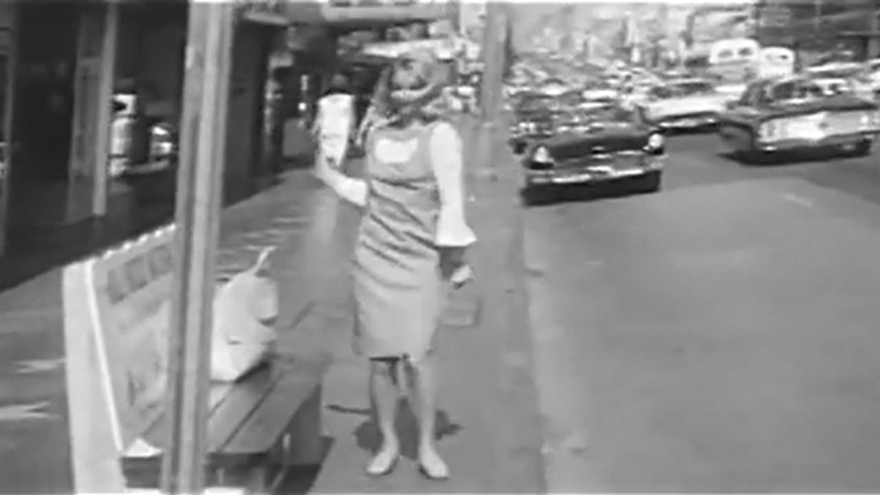 Where's the Bus? - immagine