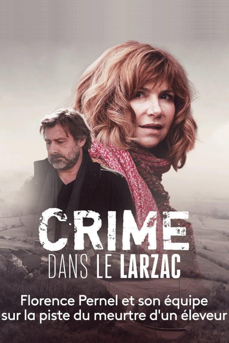 Poster di Delitto a Saint-Affrique