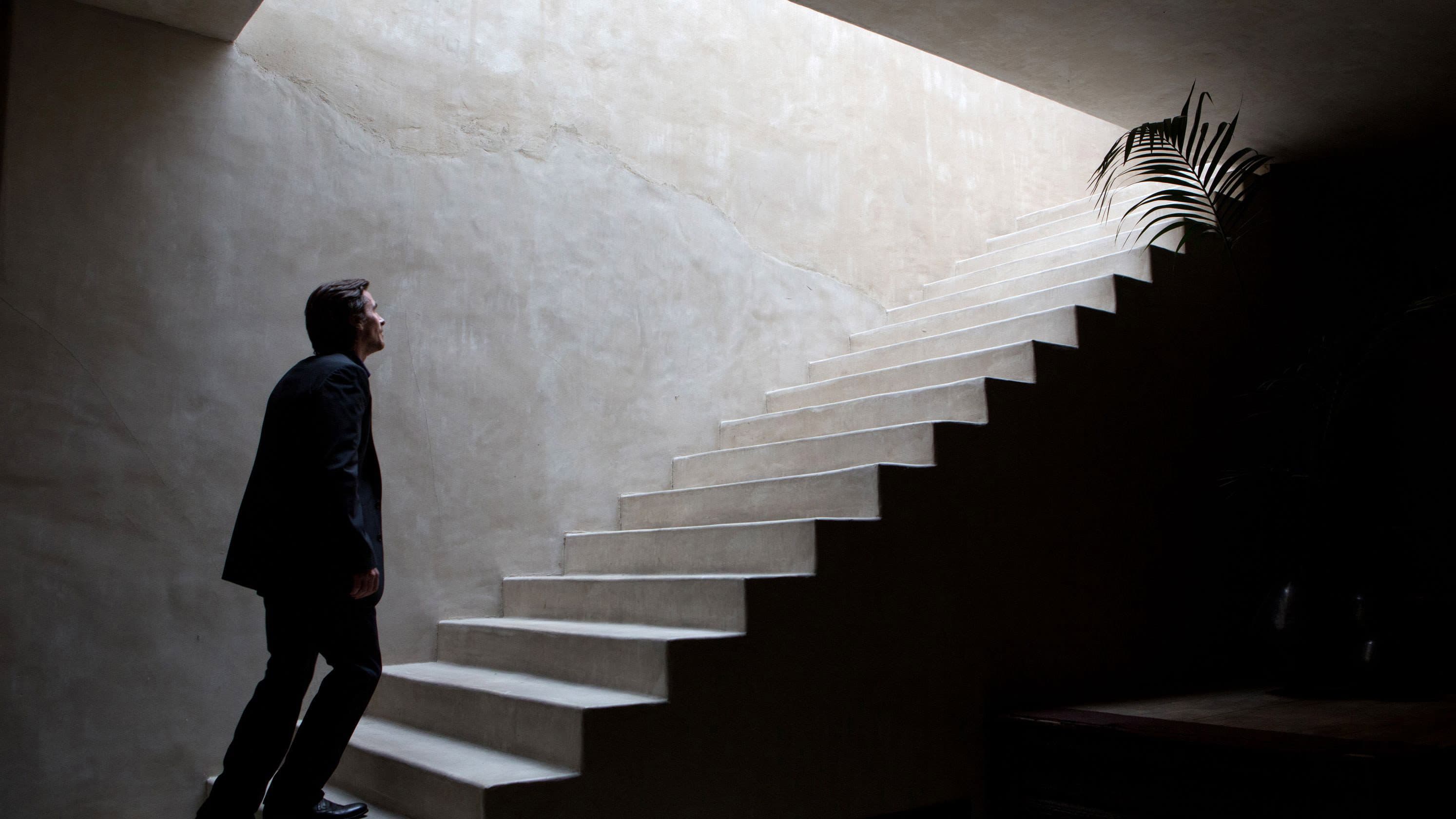 Knight of Cups - immagine