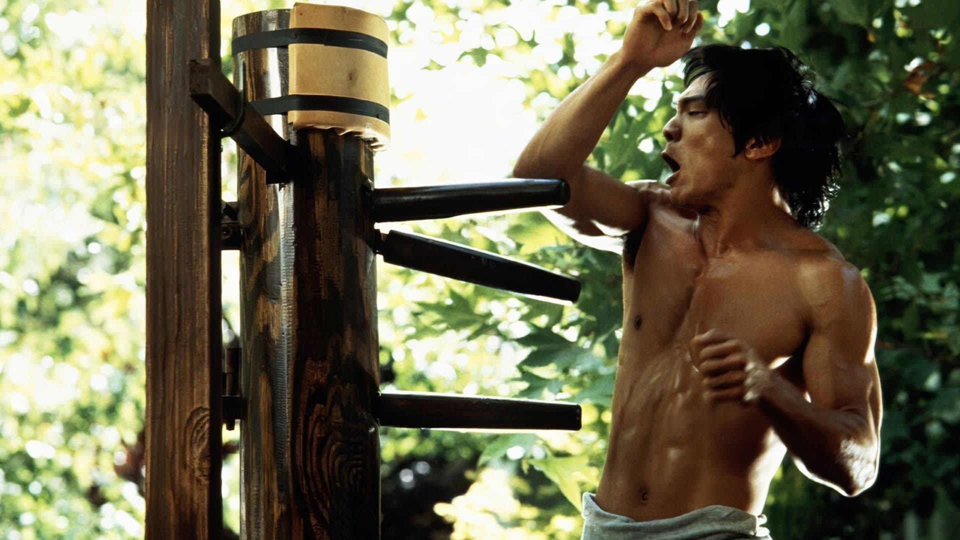 Dragon - La storia di Bruce Lee - immagine