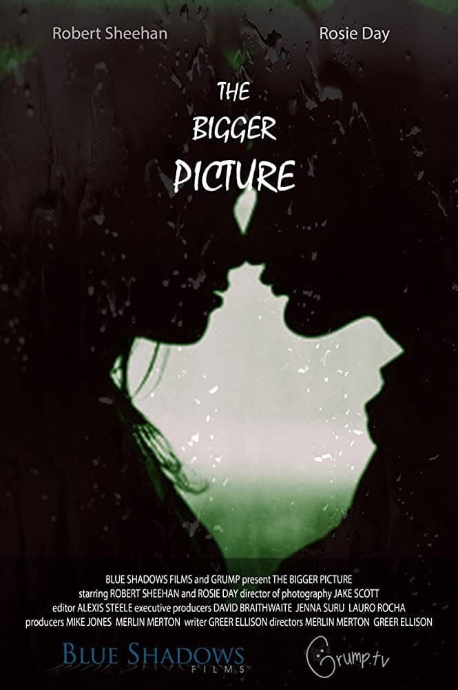 Poster di The Bigger Picture
