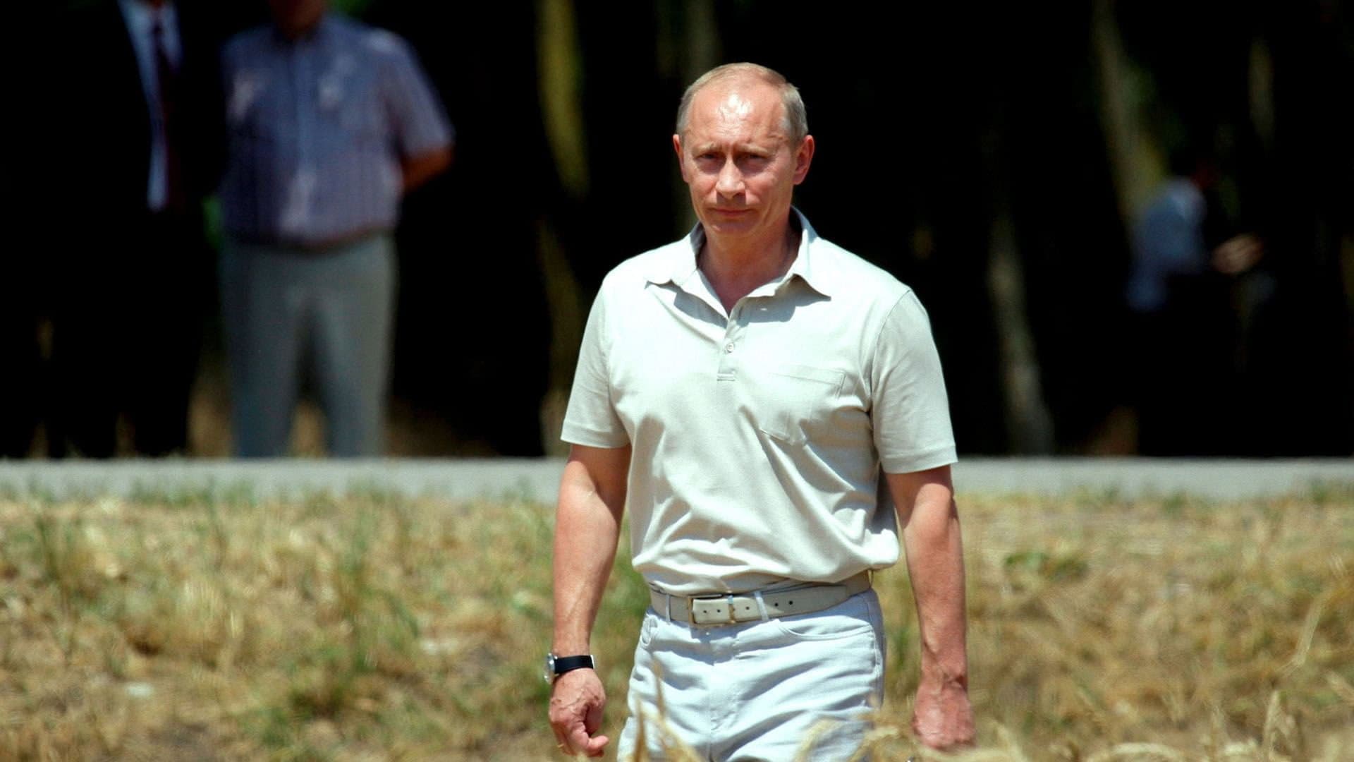 Le blé, l'autre arme de Poutine - immagine