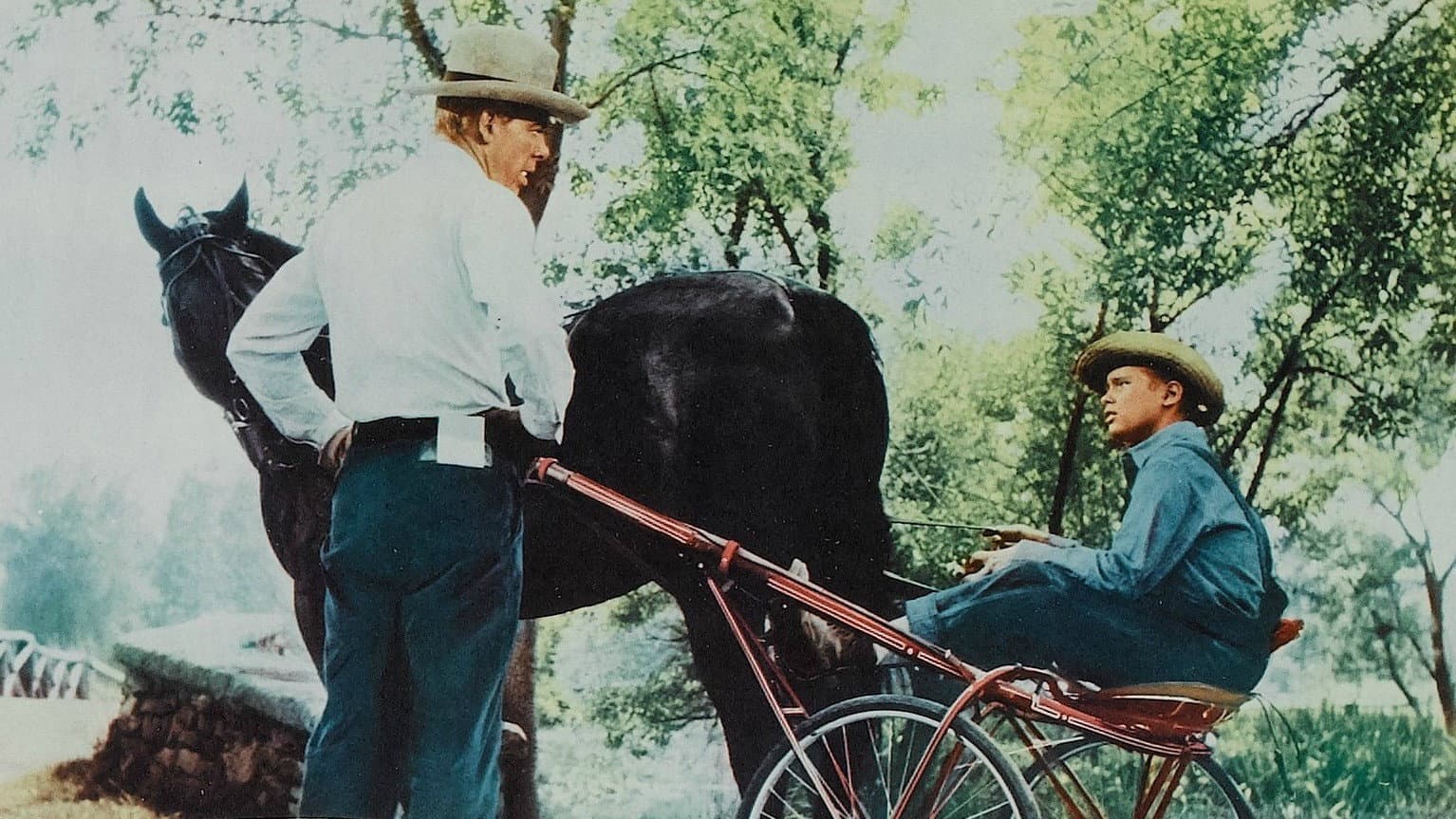 The Missouri Traveler - immagine