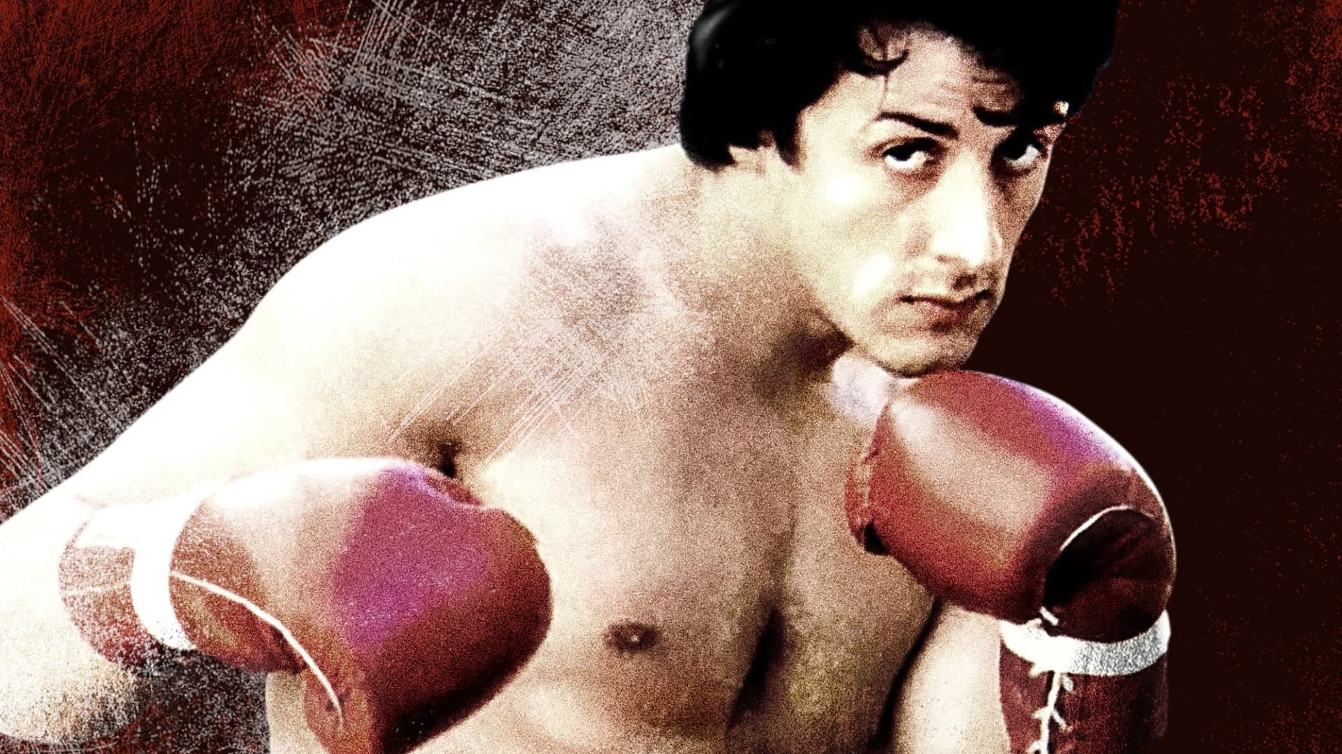 Rocky - immagine