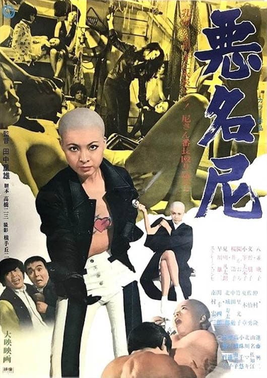 Poster di 悪名尼