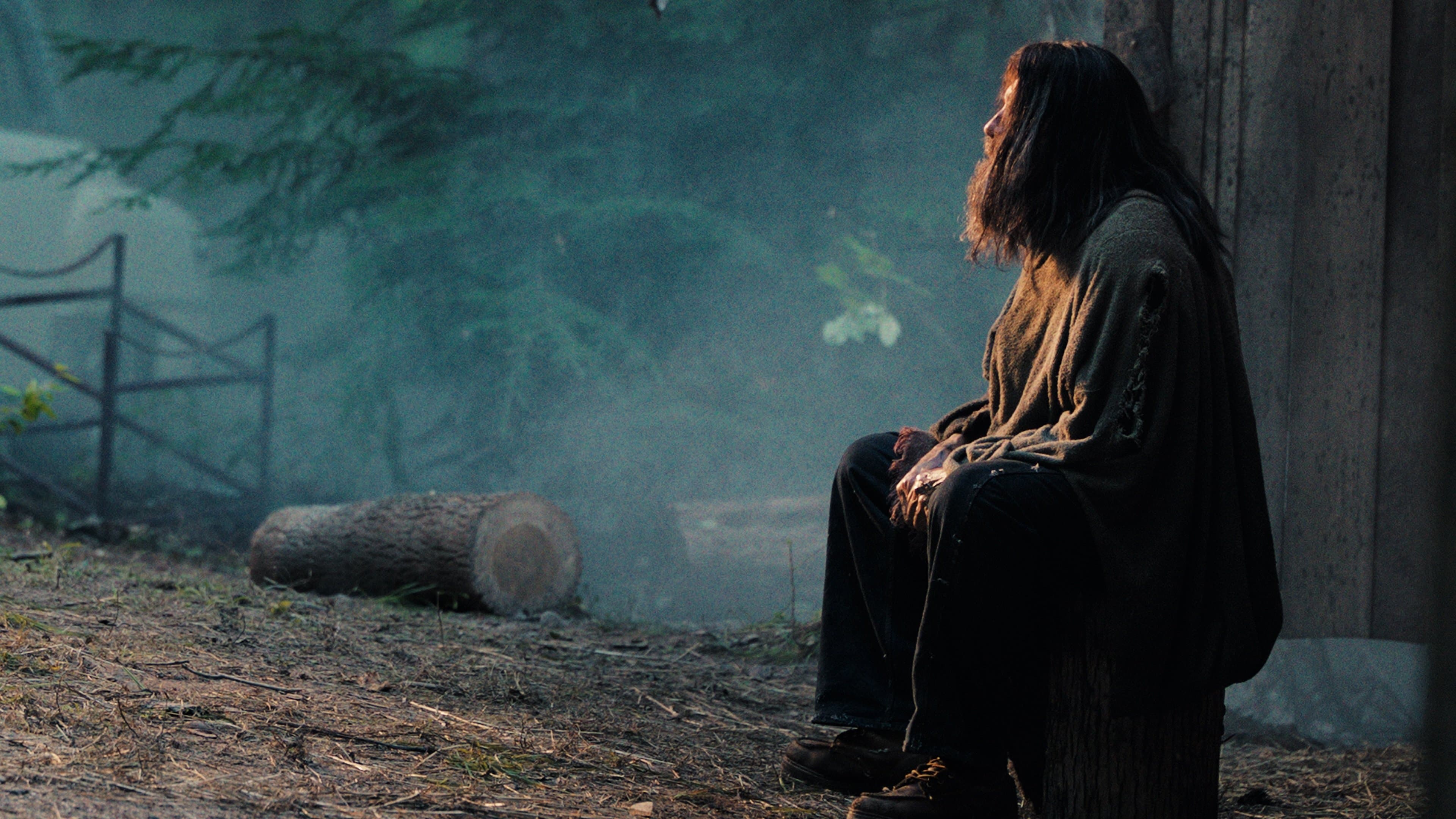 The Hermit - immagine