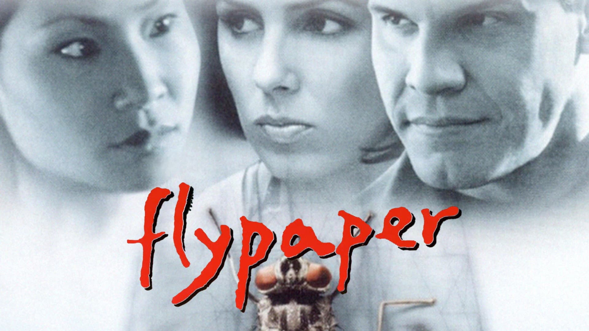 Flypaper - immagine