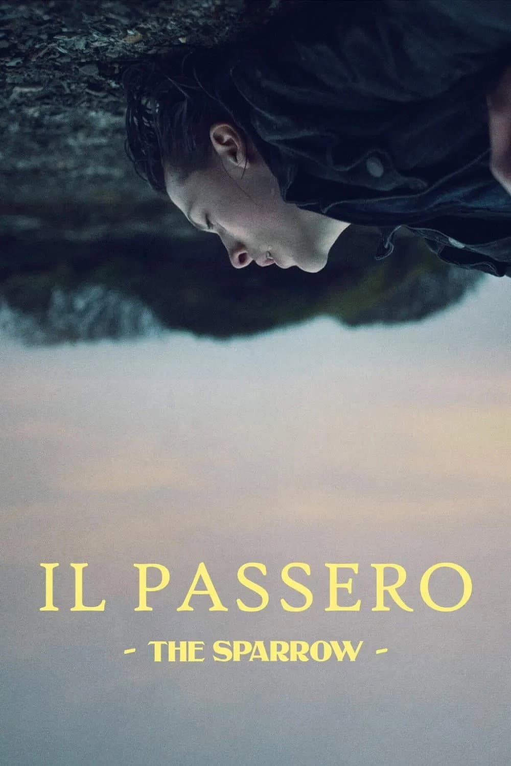 Poster di Il passero - The Sparrow