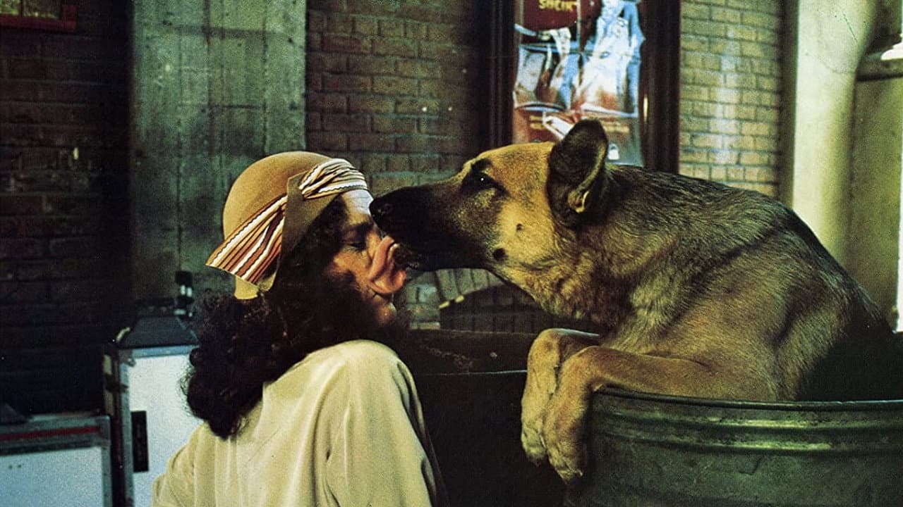 Won Ton Ton - Il cane che salvò Hollywood - immagine