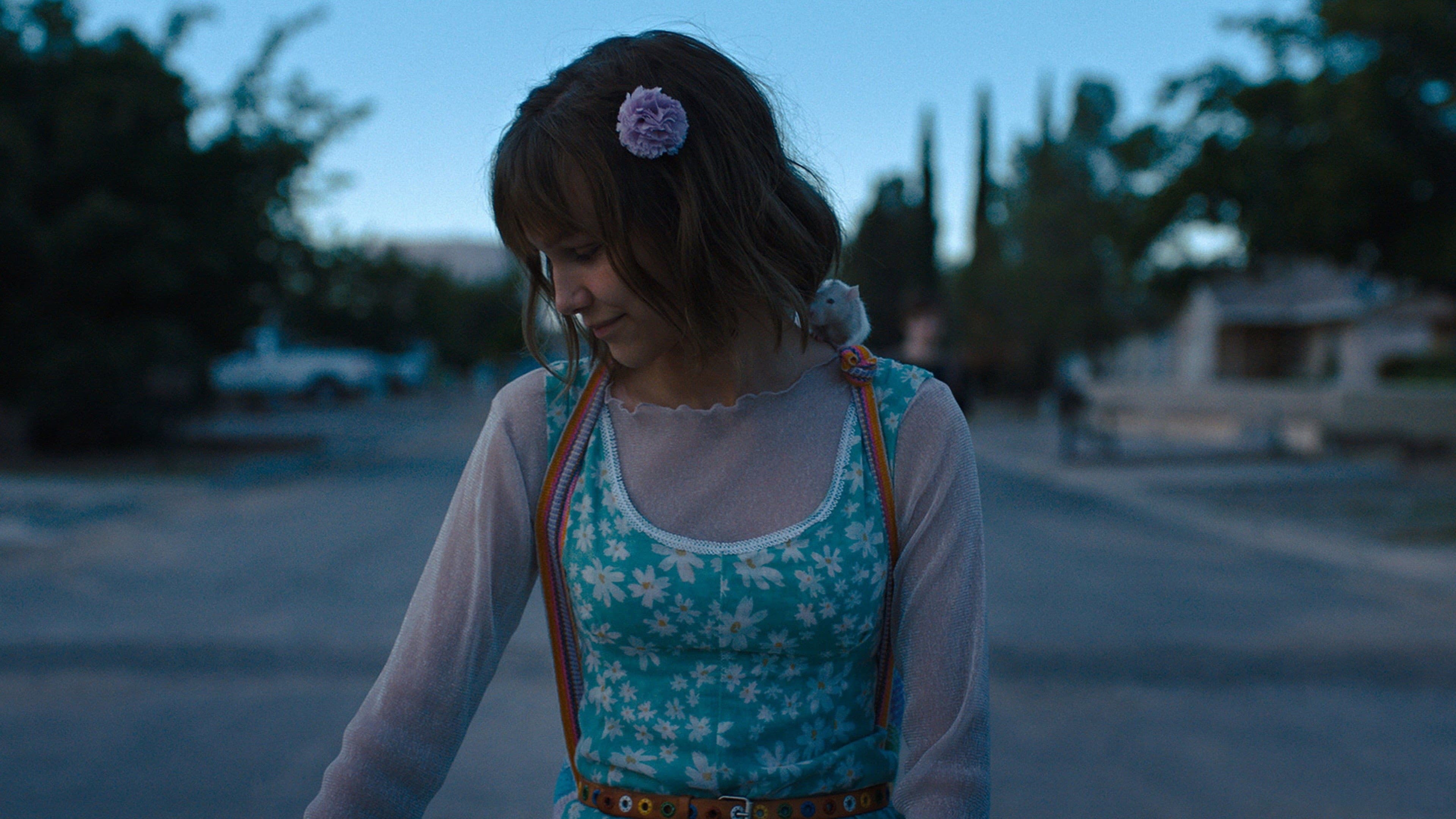 Stargirl - immagine