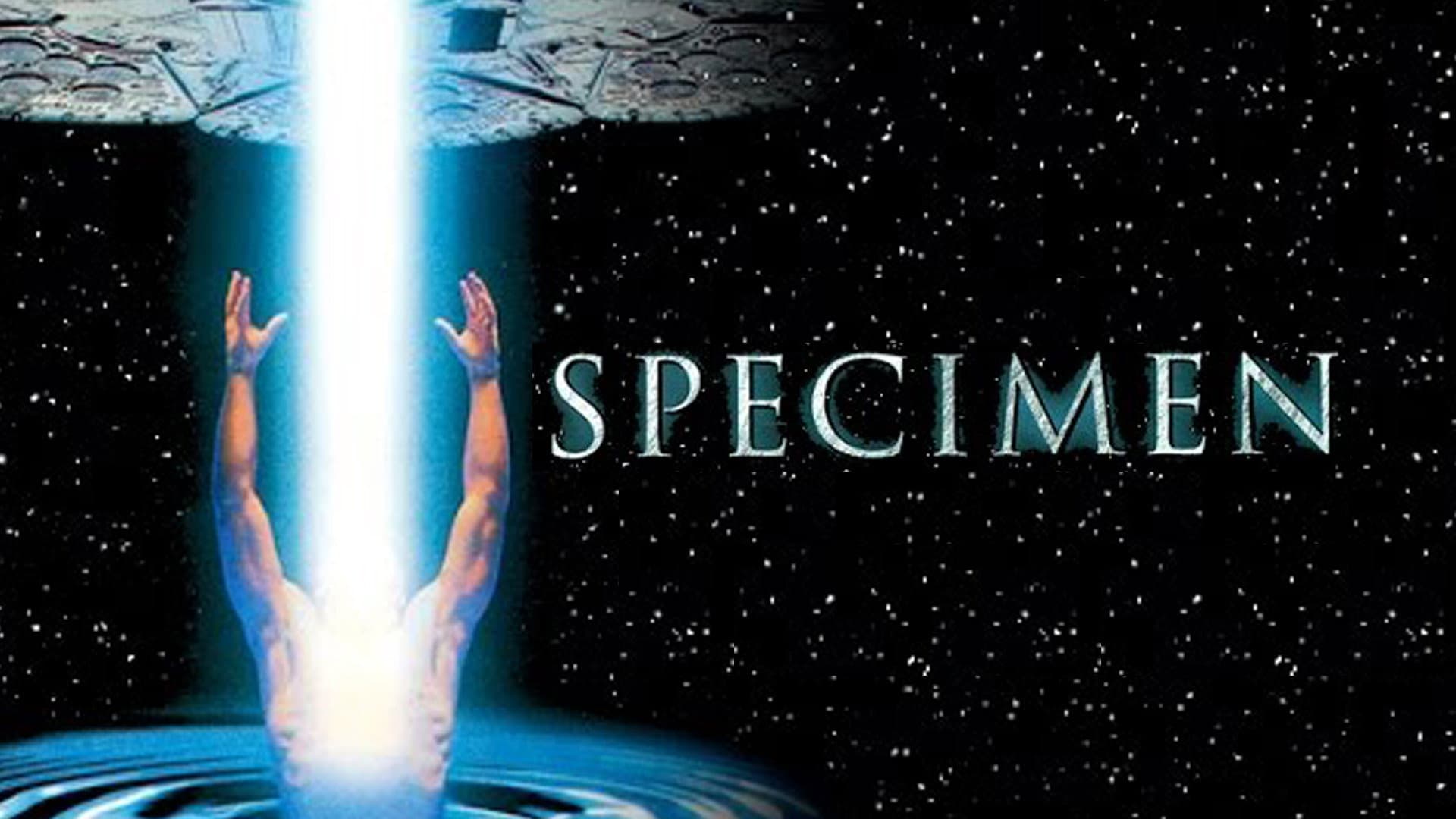 Specimen - immagine