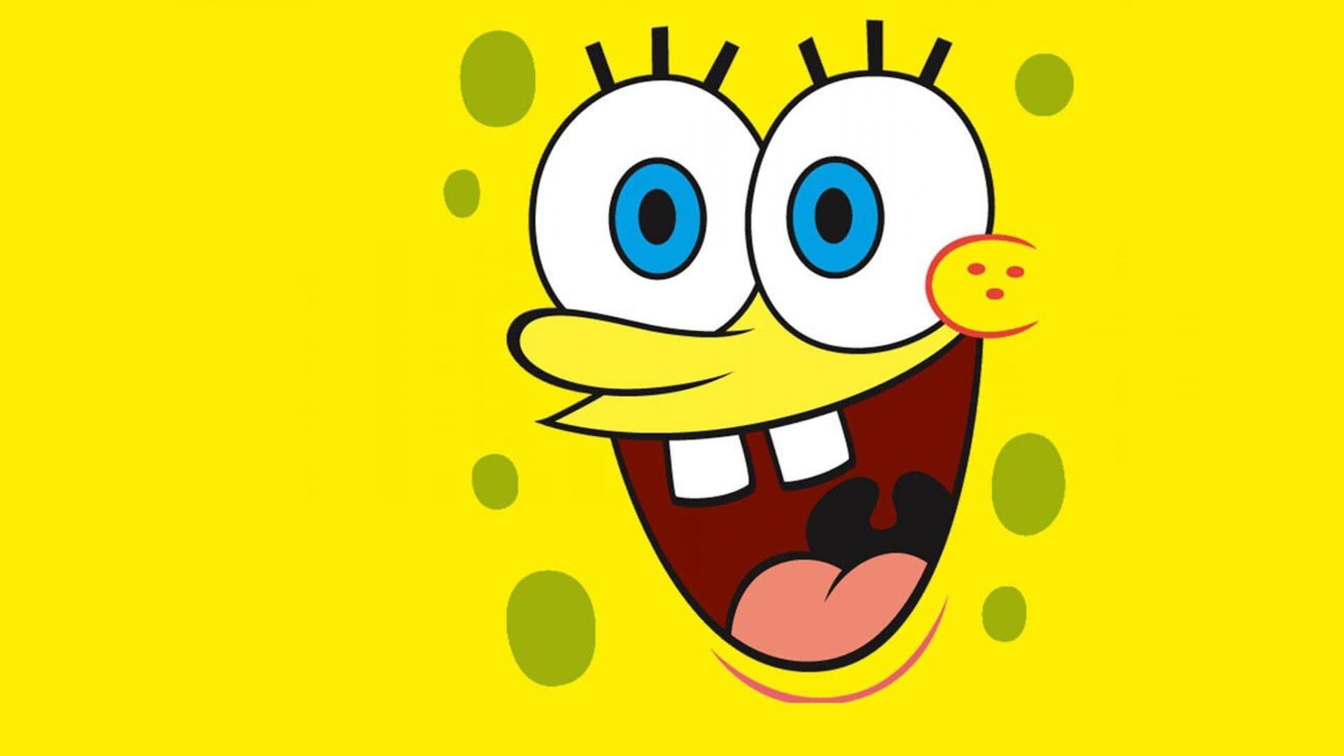SpongeBob SquarePants: Where's Gary? - immagine