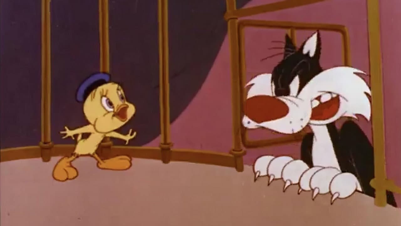 Mi è sembrato di vedere un gatto - immagine