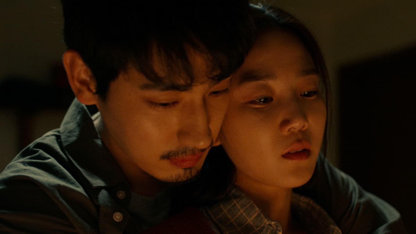 제비 - immagine