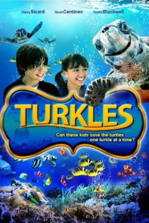 Poster di Turkles