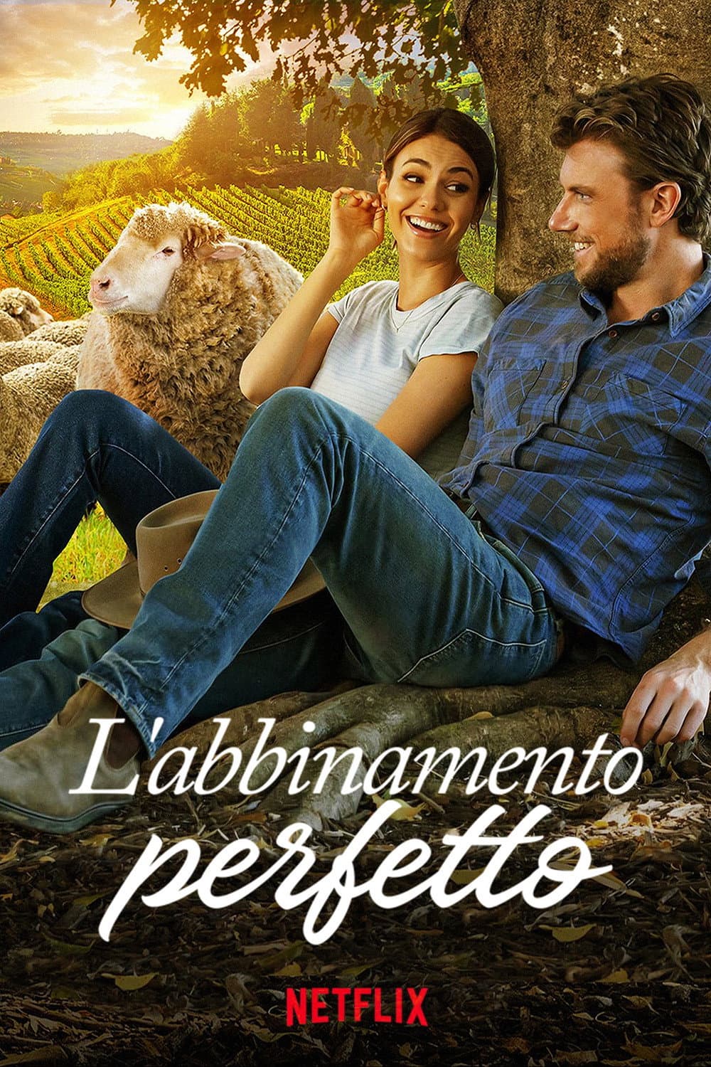 Poster di L'abbinamento perfetto