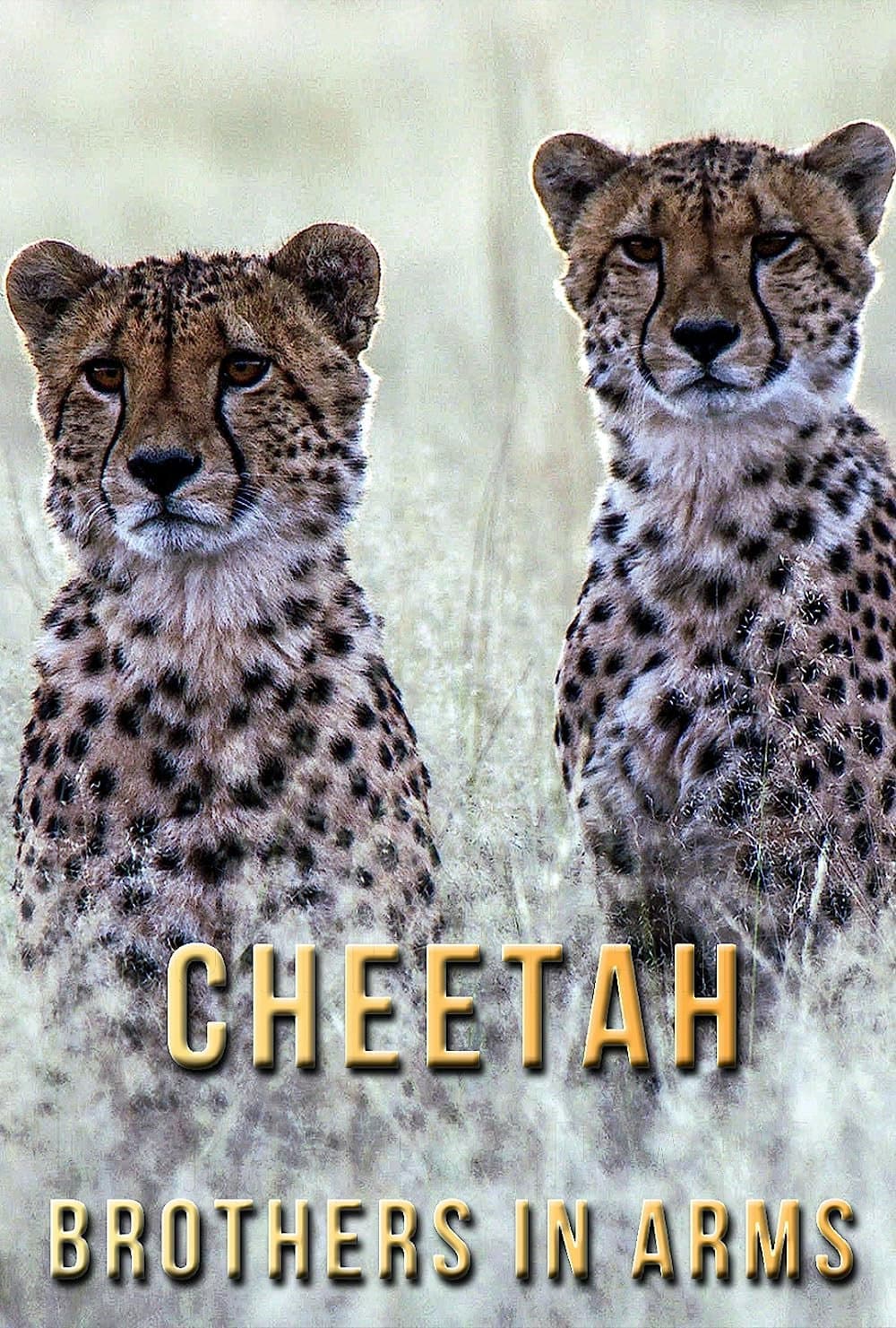 Poster di Cheetah Brothers in Arms
