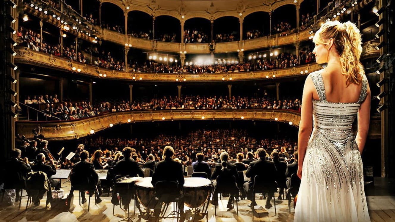 Il concerto - immagine