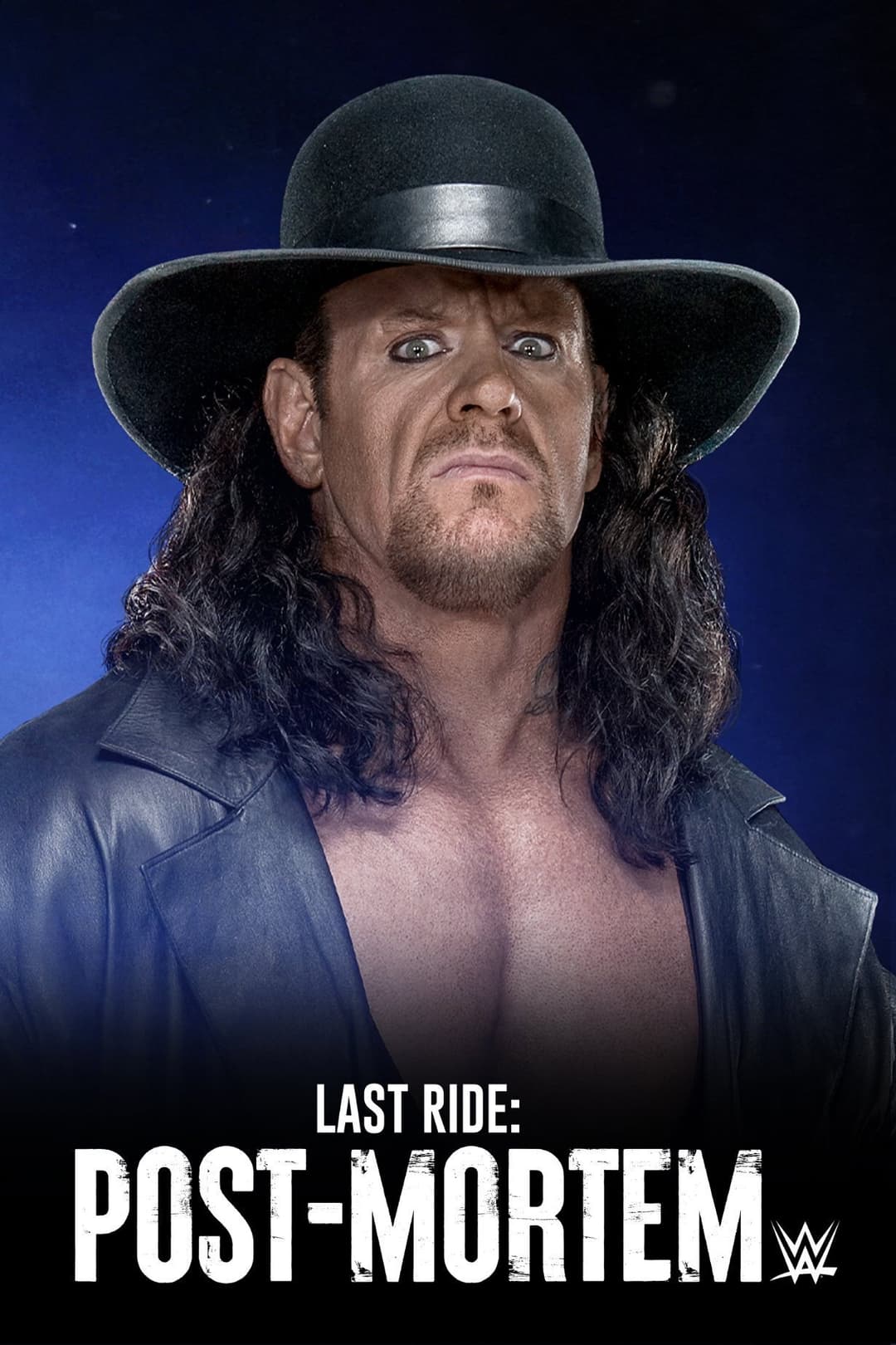 Poster di Last Ride: Post-Mortem