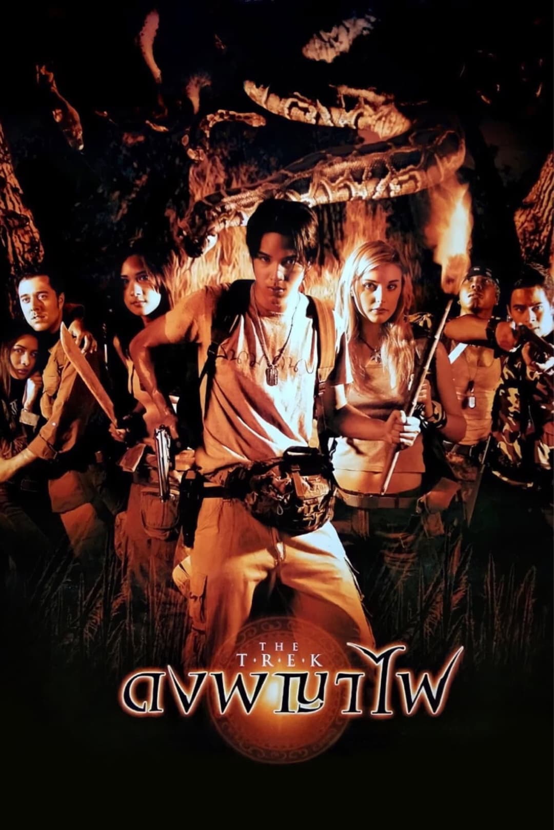 Poster di ดงพญาไฟ