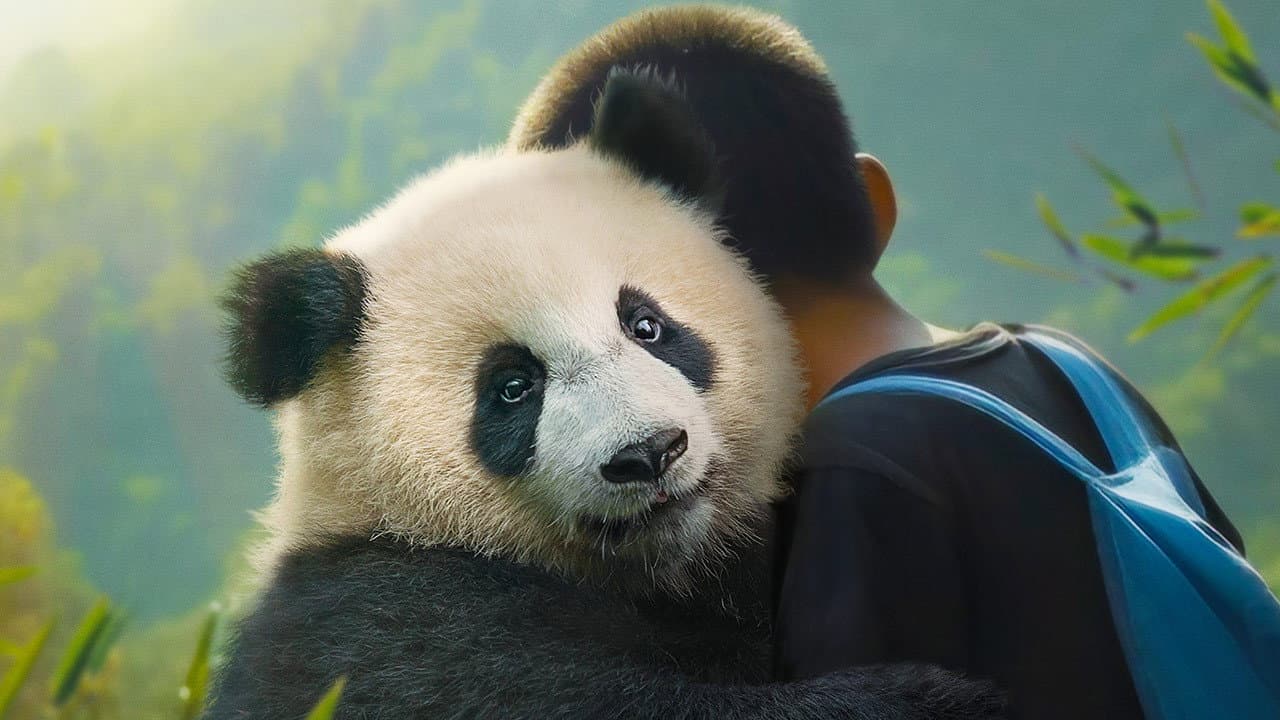 Moon il panda - immagine
