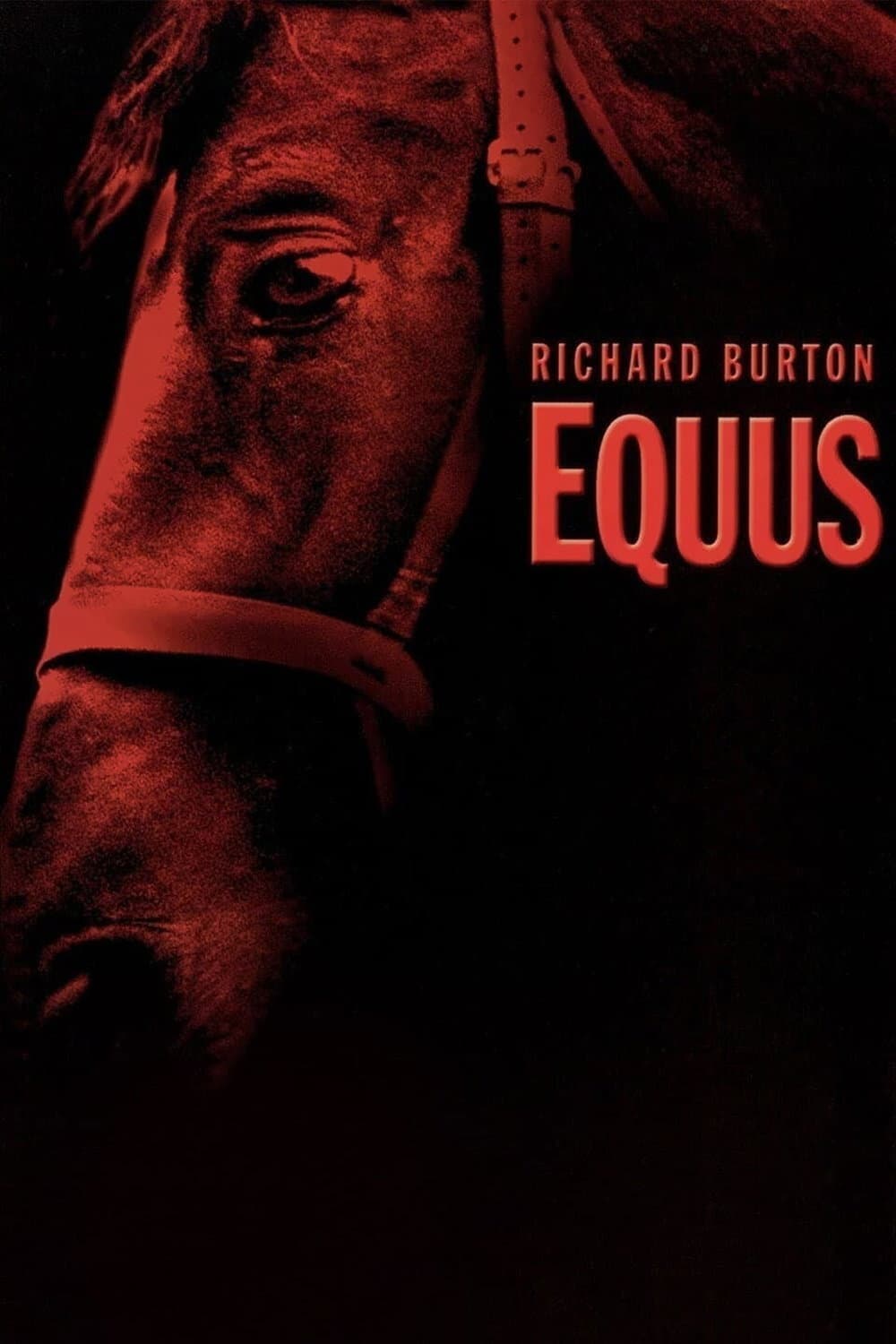 Poster di Equus