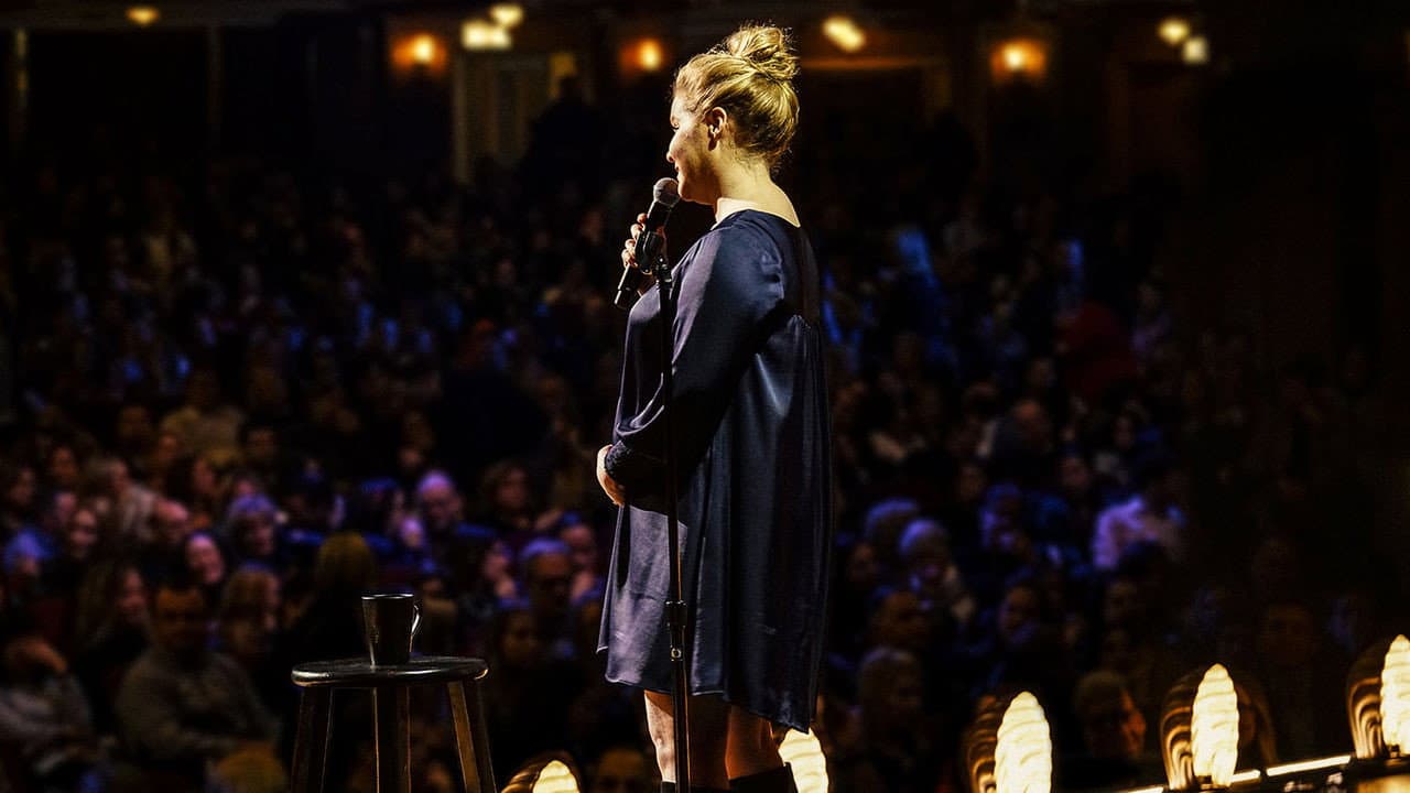 Amy Schumer: Growing - immagine