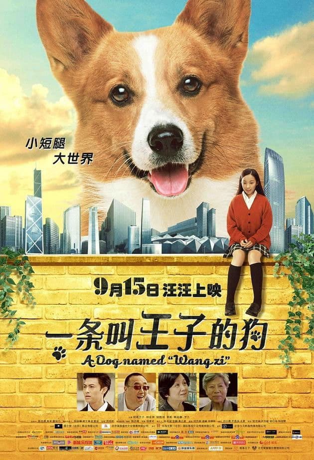 Poster di 一条叫王子的狗
