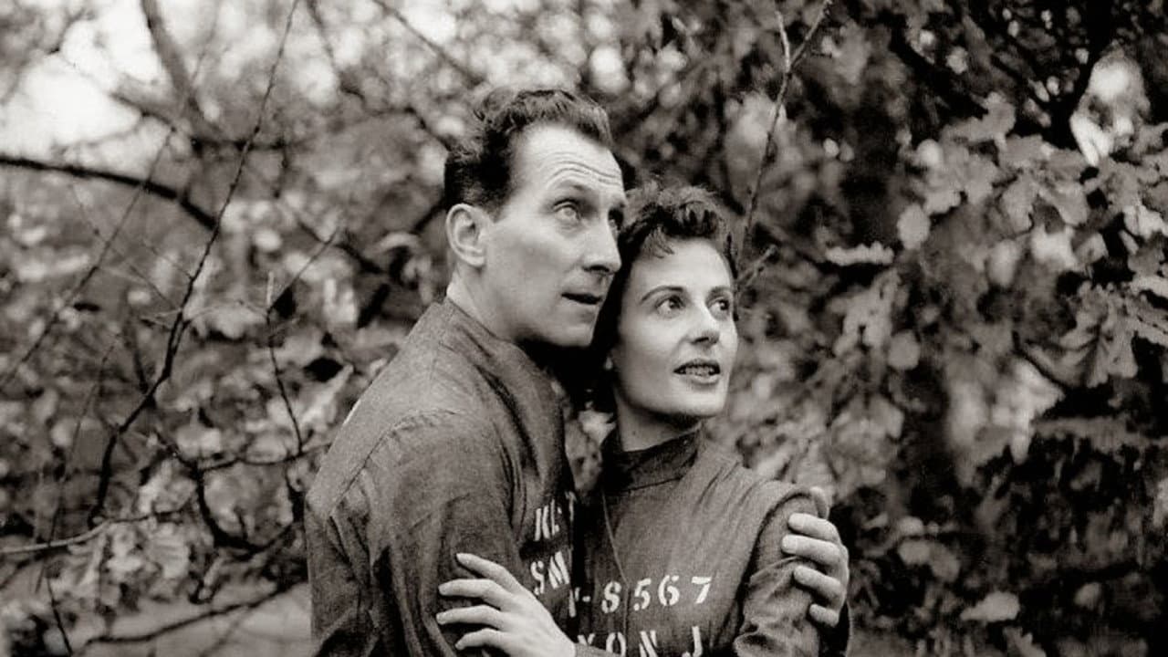 Nineteen Eighty-Four - immagine