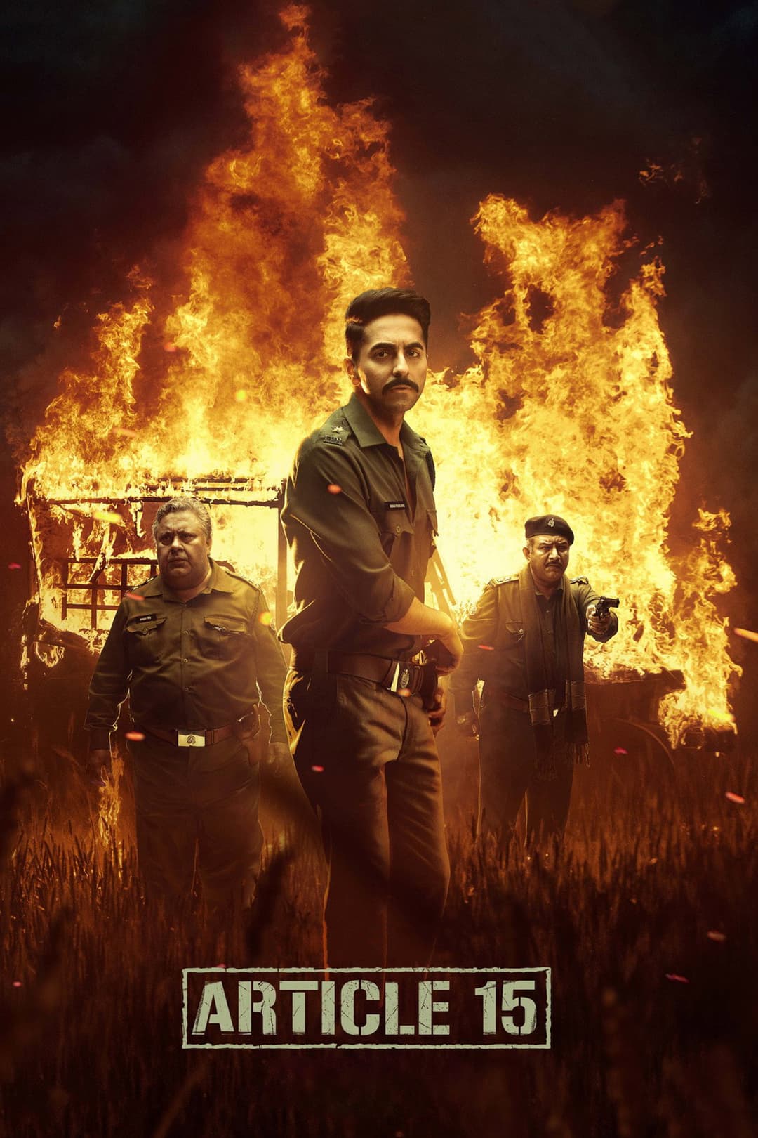 Poster di Article 15