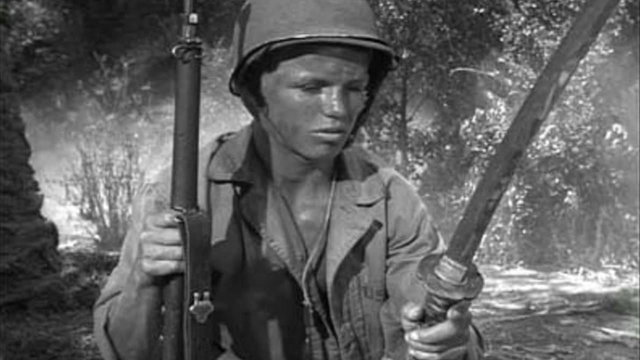 Guadalcanal - immagine