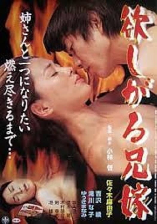 Poster di 欲しがる兄嫁