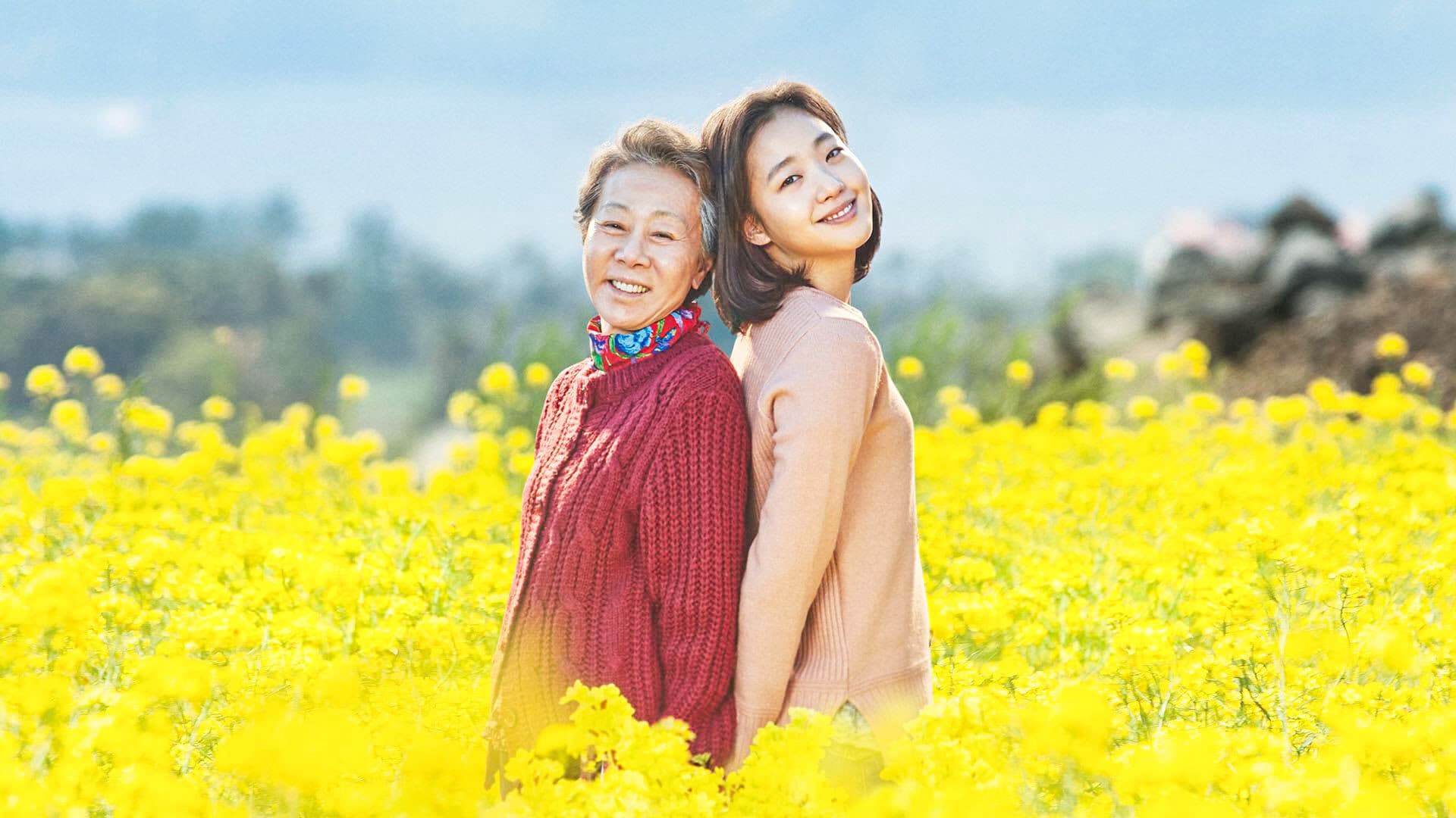 Canola - immagine