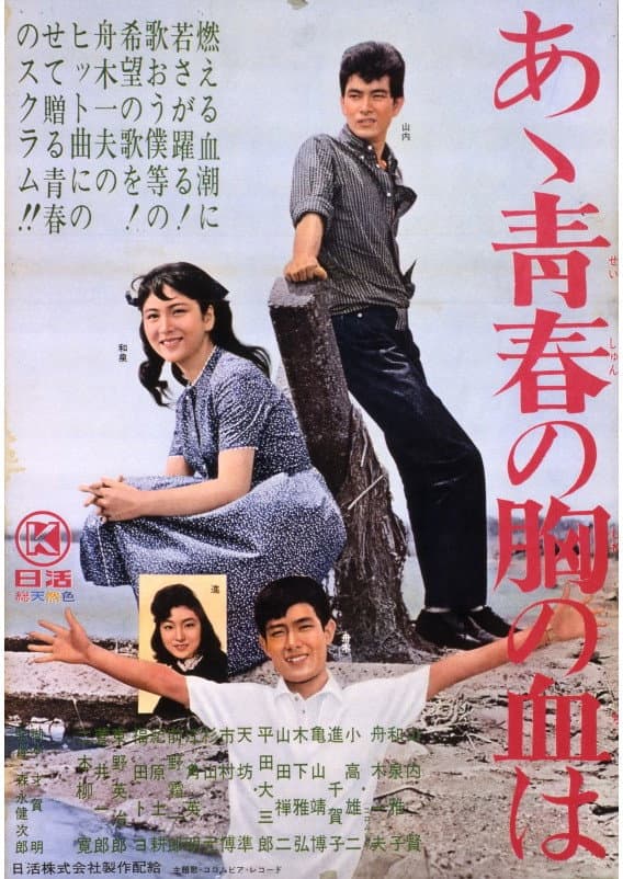 Poster di あヽ青春の胸の血は
