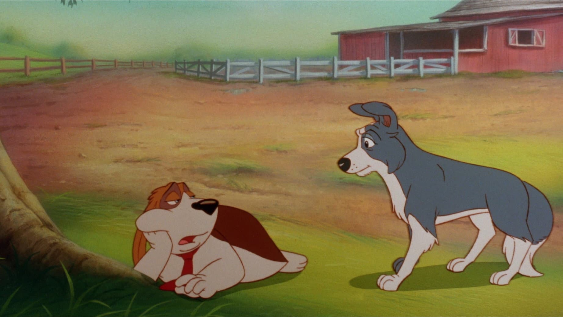 Rover e Daisy - immagine