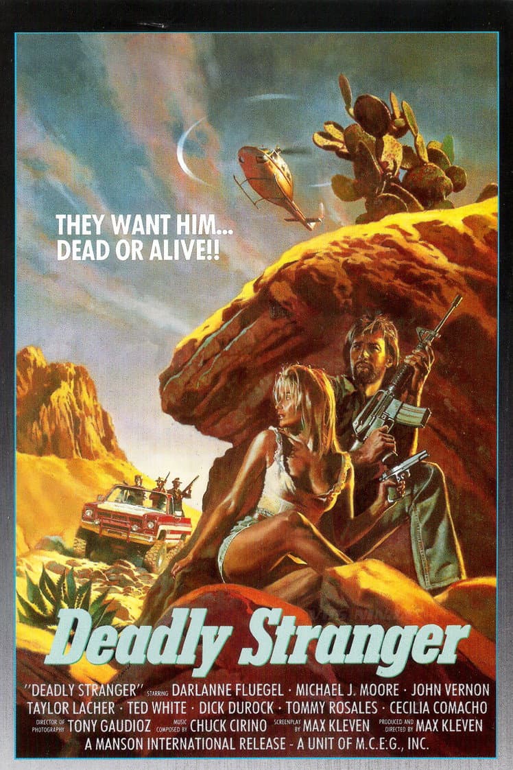 Poster di Deadly Stranger