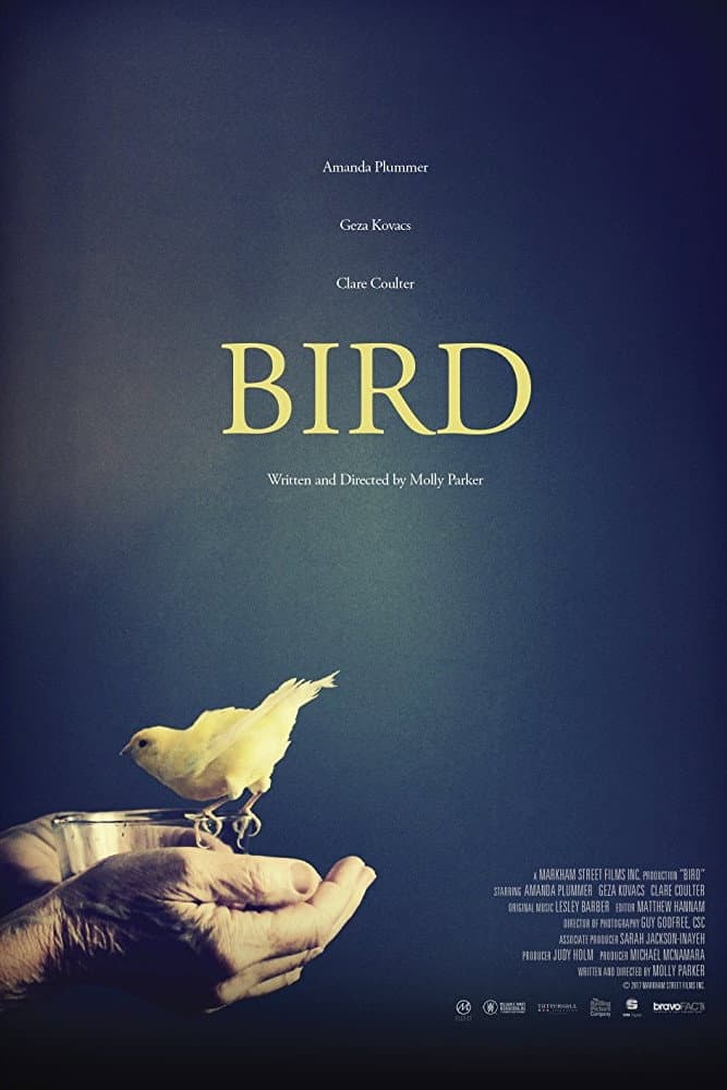 Poster di Bird