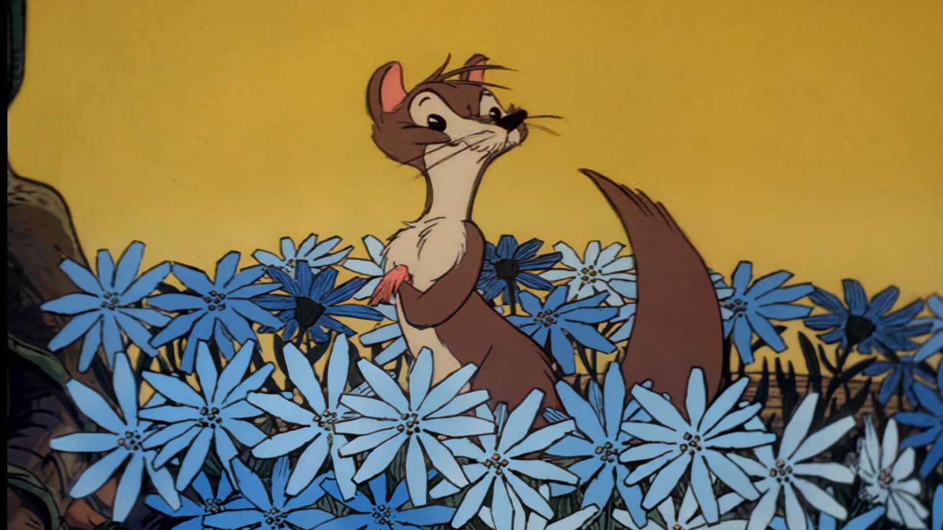 Rikki-Tikki-Tavi - immagine