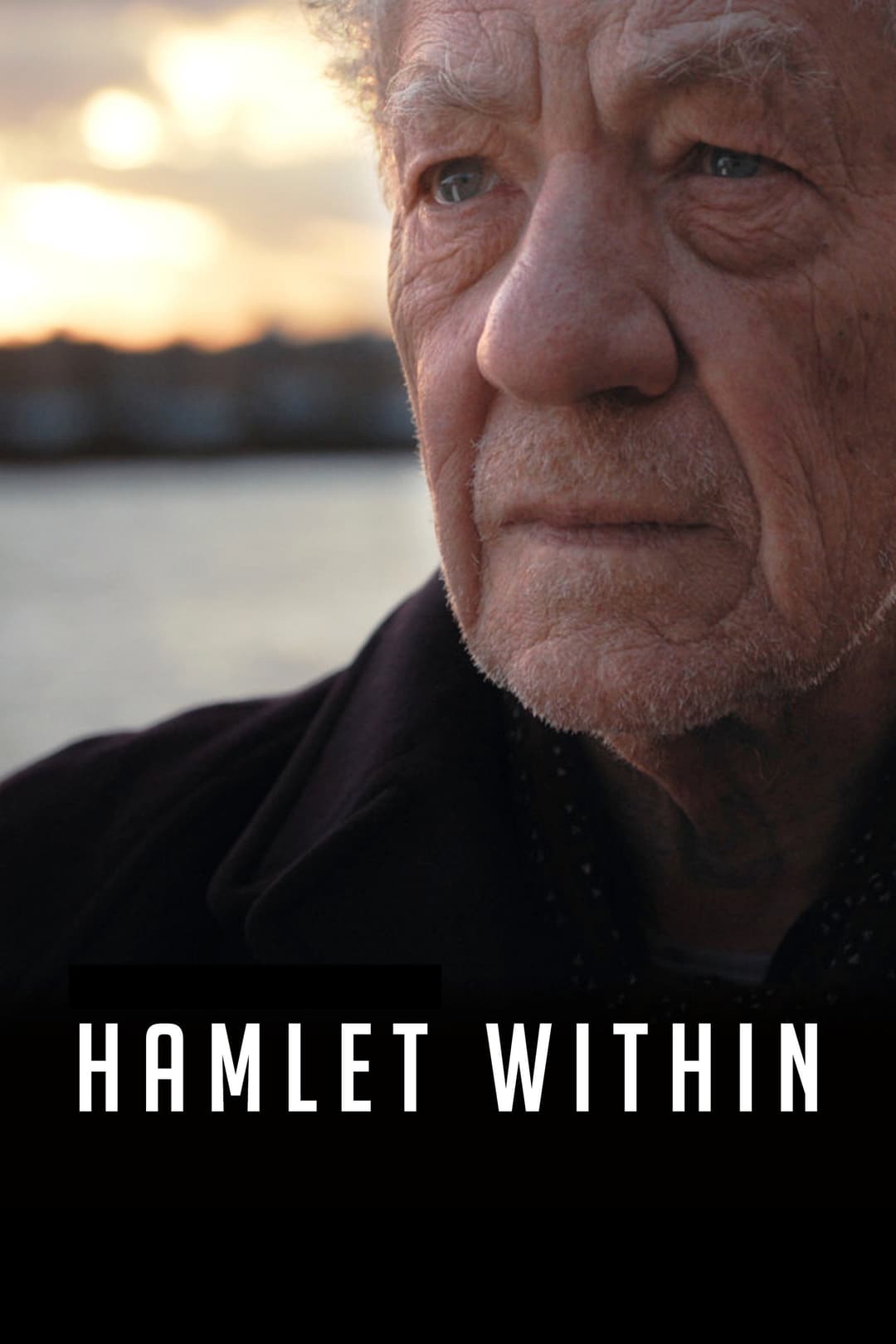 Poster di Hamlet Within