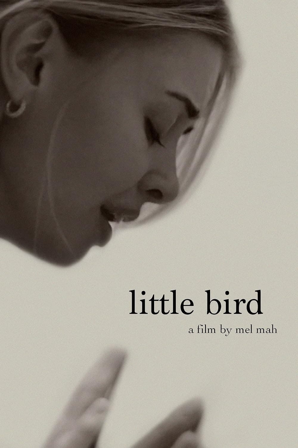 Poster di Little Bird