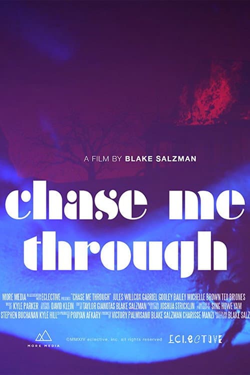 Poster di Chase Me Through