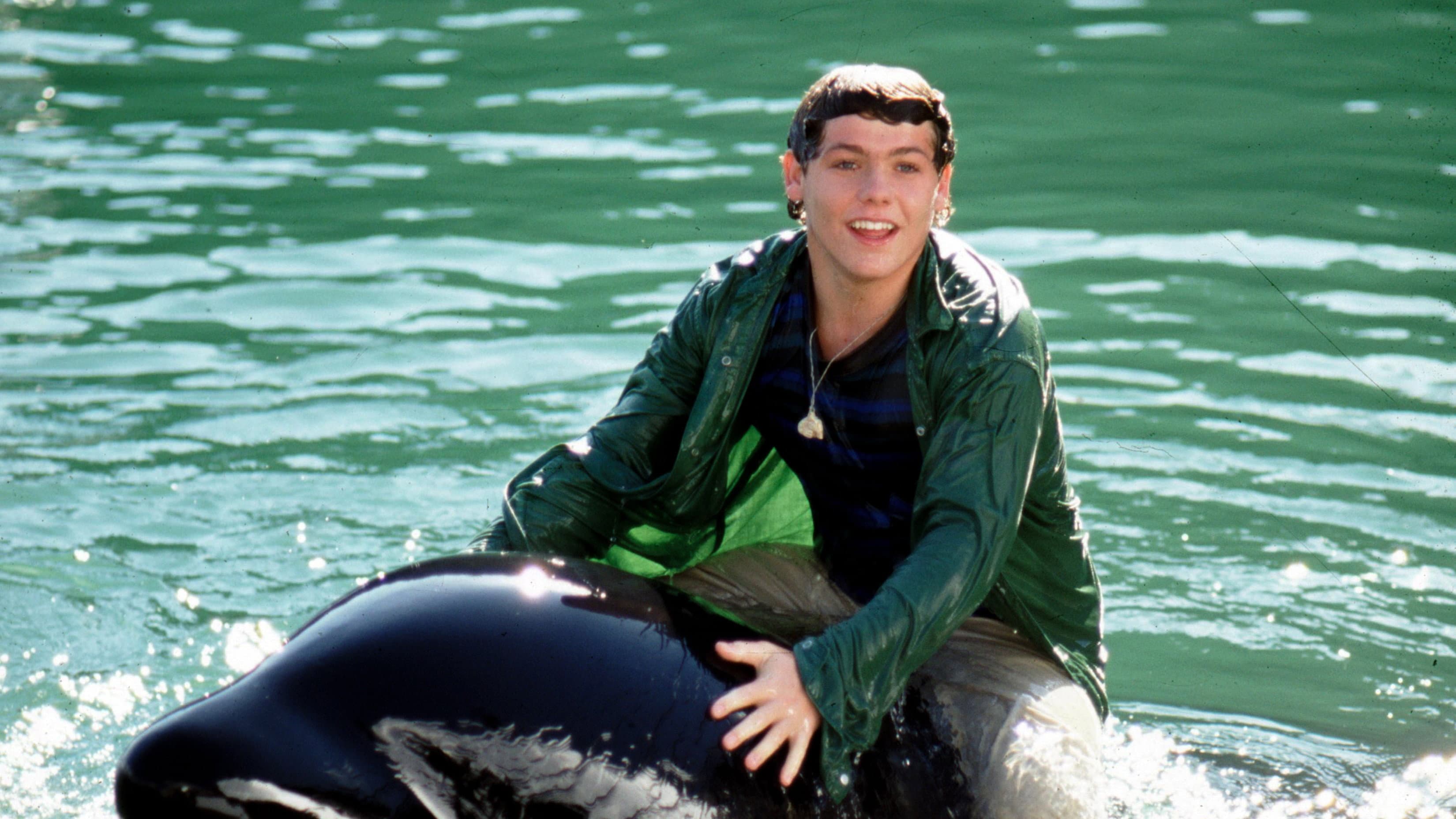 Free Willy 3 - Il salvataggio - immagine