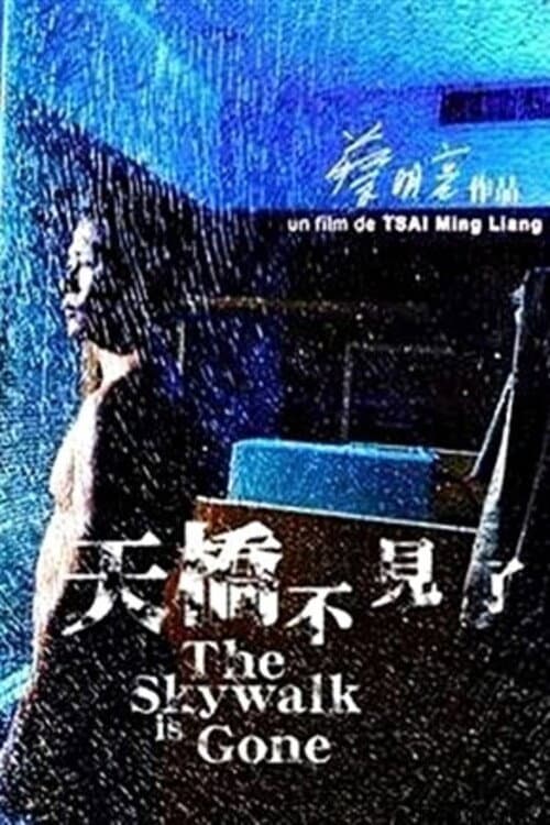 Poster di The Skywalk is Gone