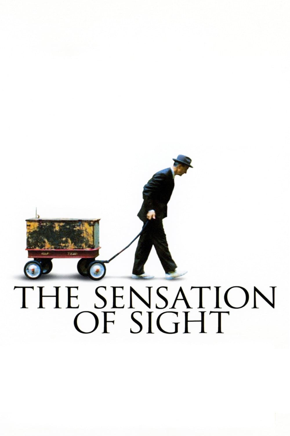 Poster di The Sensation of Sight