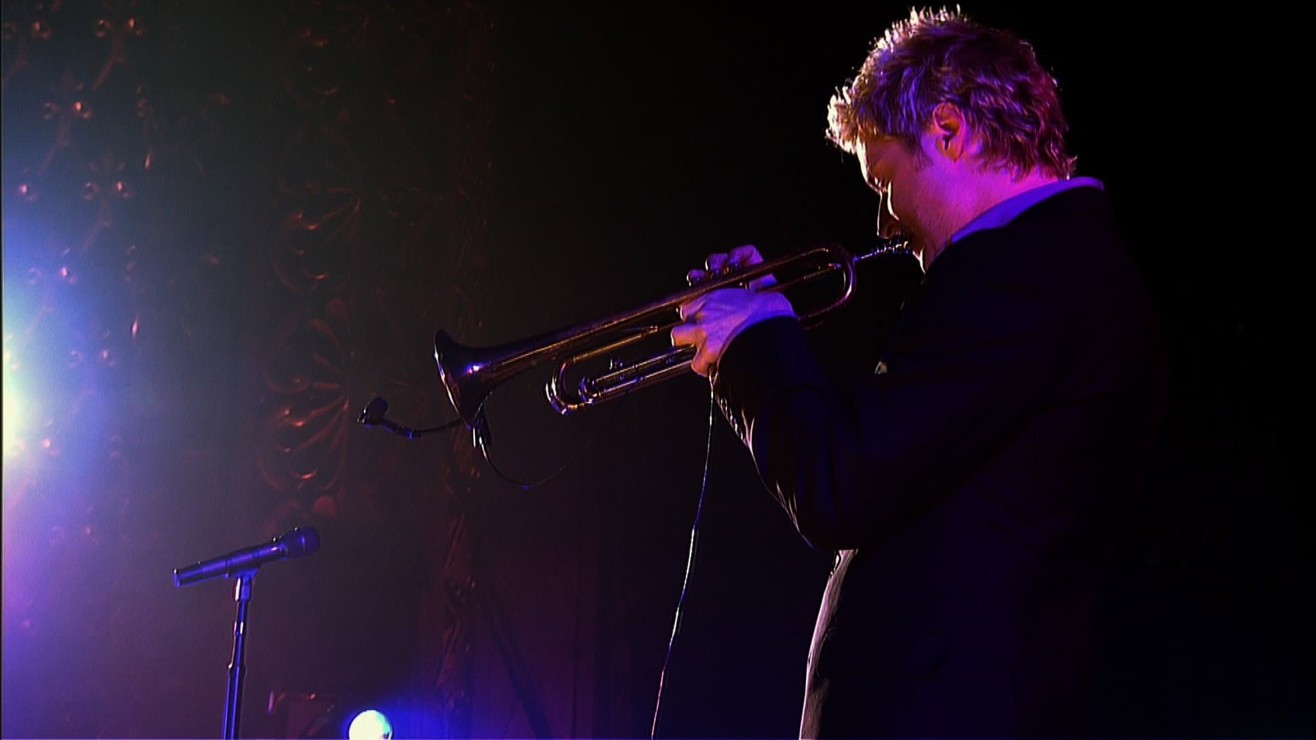 Chris Botti Live: With Orchestra and Special Guests - immagine