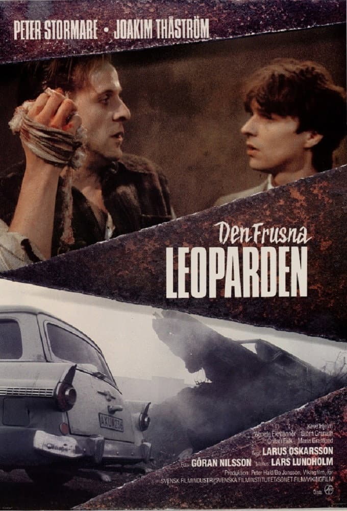 Poster di Den frusna leoparden