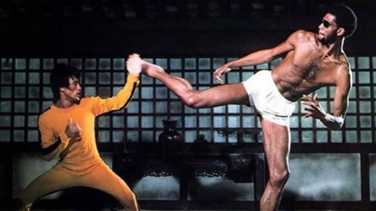 The Final Game of Death - immagine