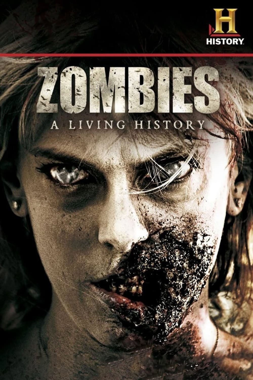 Poster di Zombies: A Living History