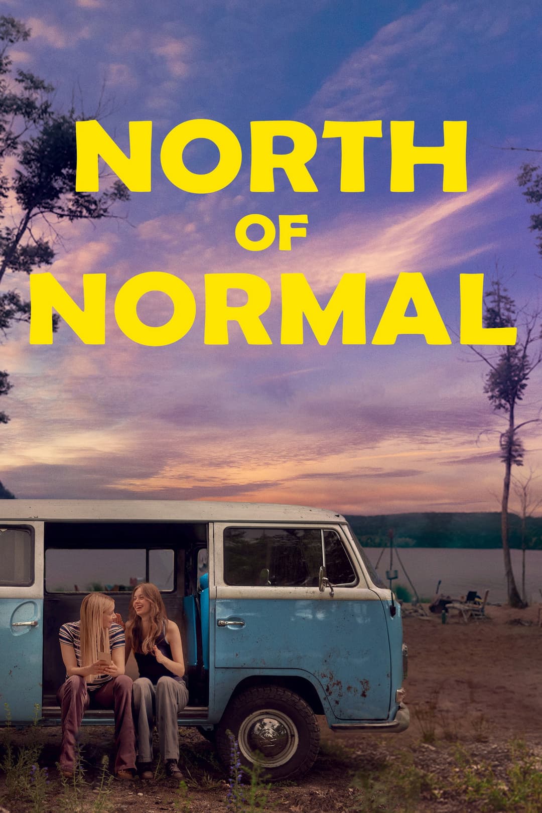 Poster di North of Normal